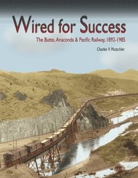 bokomslag Wired for Success