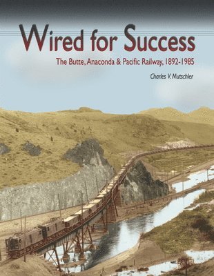 bokomslag Wired for Success