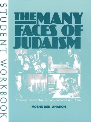 bokomslag Many Faces of Judaism - Workbook