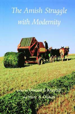 bokomslag The Amish Struggle with Modernity
