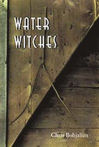 bokomslag Water Witches