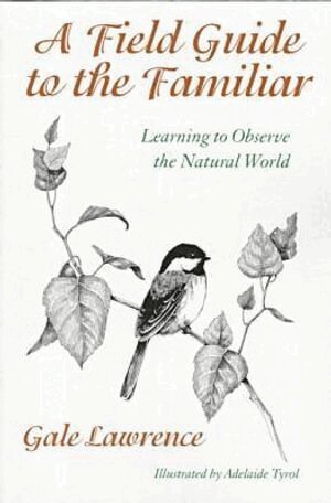 Gale Lawrence - Field Guide to the Familiar, Häftad