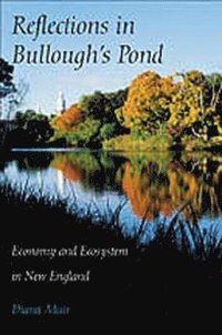 bokomslag Reflections in Bullough's Pond