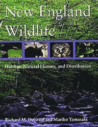 bokomslag New England Wildlife