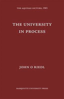 bokomslag The University in Process