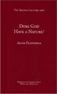 bokomslag Does God Have a Nature?