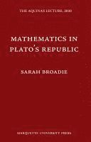bokomslag Mathematics in Plato's Republic