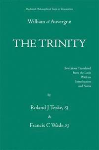 bokomslag The Trinity, Or The First Principle