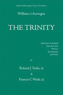 bokomslag The Trinity, Or The First Principle
