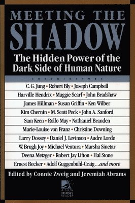 Meeting the Shadow 1