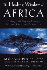 bokomslag The Healing Wisdom of Africa