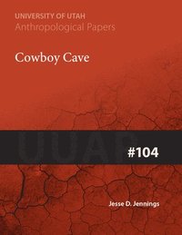 bokomslag Cowboy Cave