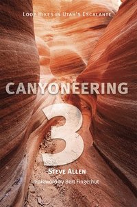 bokomslag Canyoneering 3