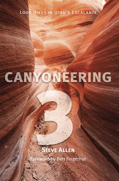 bokomslag Canyoneering 3