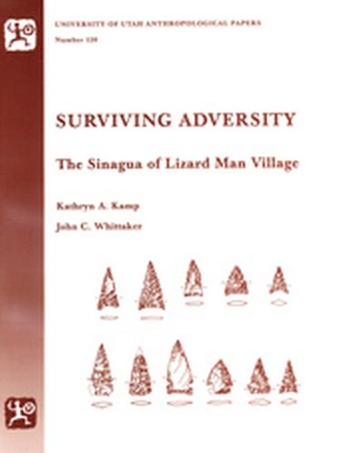 bokomslag Surviving Adversity - AP 120