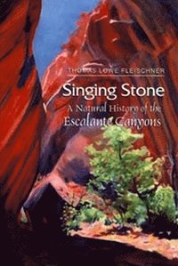 bokomslag Singing Stone