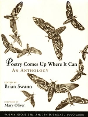 Brian Swann - Poetry Comes Up Where It Can, Häftad