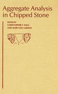 bokomslag Aggregate Analysis in Chipped Stone