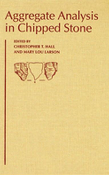 bokomslag Aggregate Analysis in Chipped Stone