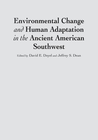 bokomslag Environmental Change and Human Adaptation in the Ancient American Southwest