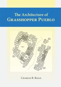 bokomslag Architecture Of Grasshopper Pueblo, The