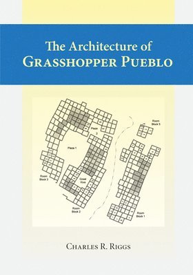 Architecture Of Grasshopper Pueblo, The 1