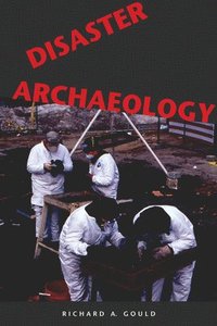 bokomslag Disaster Archaeology