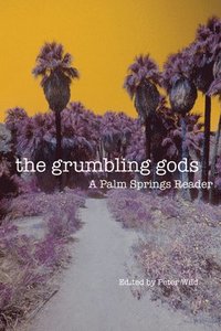 bokomslag The Grumbling Gods