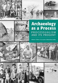 bokomslag Archaeology as a Process