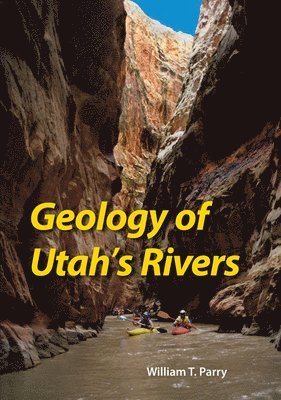 bokomslag Geology of Utah's Rivers