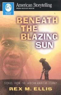 bokomslag Beneath the Blazing Sun