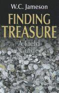 bokomslag Finding Treasure