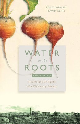 Philip Britts, Jennifer Harries - Water at the Roots, Häftad