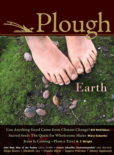 Bill McKibben, Eugene H. Peterson, N. T. Wright, Elizabeth Lev, Calvin DeWitt, Jane Tyson Clement, Wendell Berry, Barbara Kingsolver, John Muir, Flannery O’Connor, John Paul, Peter Mommsen - Plough Quarterly No. 4, Häftad