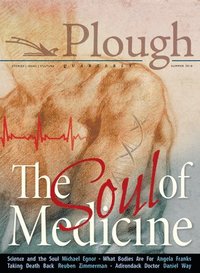 bokomslag Plough Quarterly No. 17- The Soul of Medicine