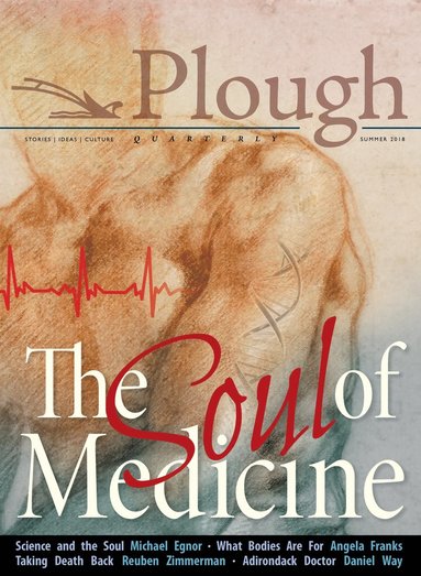 bokomslag Plough Quarterly No. 17- The Soul of Medicine