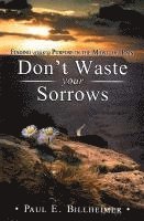 Don't Waste Your Sorrows