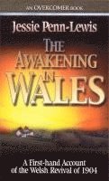 bokomslag The Awakening In Wales
