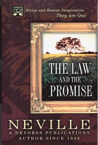 bokomslag Law And The Promise