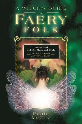 bokomslag Witchs guide to faery folk - reclaiming our working relationship with invis