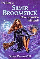 bokomslag To Ride a Silver Broomstick