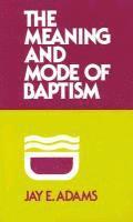 bokomslag Meaning and Mode of Baptism