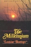 bokomslag Millennium