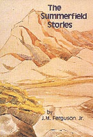 bokomslag Summerfield Stories