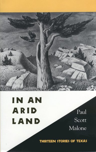 bokomslag In an Arid Land