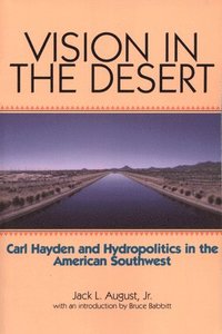 bokomslag Vision in the Desert