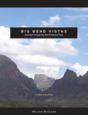 Big Bend Vistas 1