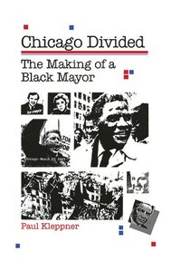bokomslag Chicago Divided