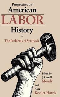 bokomslag Perspectives on American Labour History