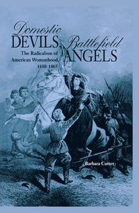 bokomslag Domestic Devils, Battlefield Angels